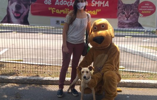 Prefeitura de Volta Redonda realiza feira de adoção animal no sábado