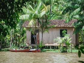 Pesquisadores fluminenses poderão contribuir com soluções para desafios da Amazônia Legal