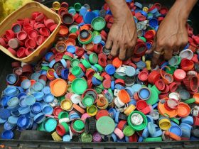 Escolas do Rio poderão ter “Conselho do Lixo” voltado para a reciclagem