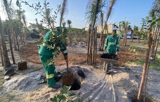 Viva o Meio Ambiente! Camboinhas ganha pomar com espécies nativas