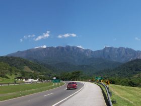 CRT celebra Dia do Meio Ambiente com distribuição de mudas na BR-116