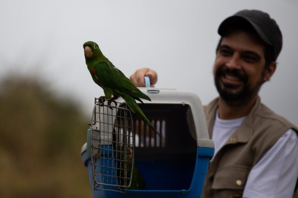 <strong>Enfim, livres: zoológico de Volta Redonda devolve 15 aves silvestres para a natureza</strong>