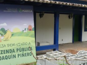 Prefeitura de Maricá promove curso sobre sistemas de certificação orgânica