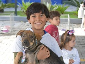 Uma nova chance: Maricá promove feira de adoção de animais abandonados