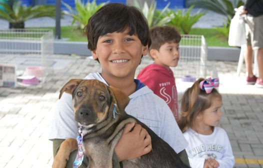 Uma nova chance: Maricá promove feira de adoção de animais abandonados