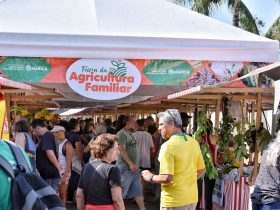 Feira da Agricultura Familiar de Maricá completa um ano com oferta de produtos sem agrotóxicos