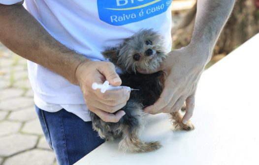 Sábado tem vacinação antirrábica animal em 14 pontos de imunização em Petrópolis
