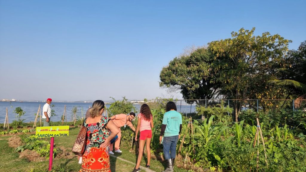 Horta Comunitária da UPA da Ilha, na capital, vira exemplo em todo o estado do Rio