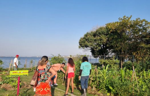 Horta Comunitária da UPA da Ilha, na capital, vira exemplo em todo o estado do Rio