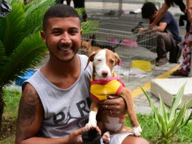 Feira de adoção em Maricá garante novo lar para 13 animais