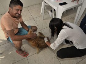 Mais de 11 mil animais vacinados contra raiva em Maricá na campanha deste sábado