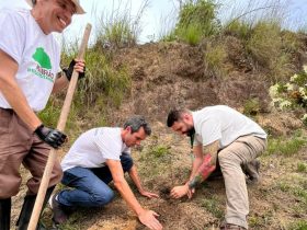 Refloresta Rio completa 36 anos com mais de 10 milhões de mudas plantadas