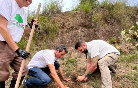 Refloresta Rio completa 36 anos com mais de 10 milhões de mudas plantadas