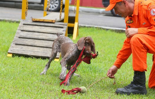 Corpo de Bombeiros forma condutores de cães de busca e resgate para atuação em desastres