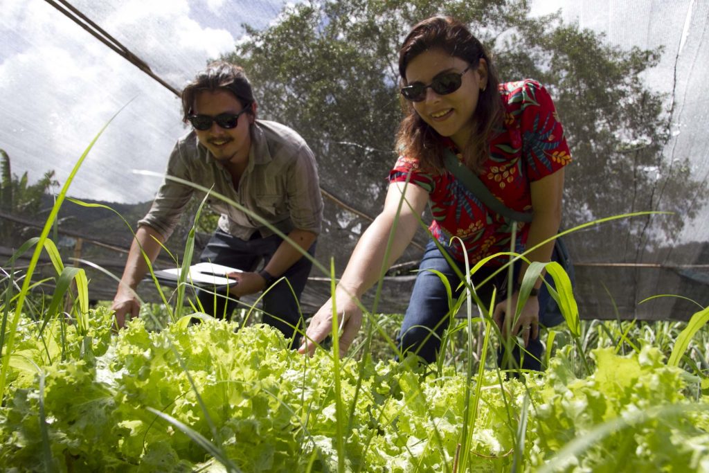 <strong>Prefeitura de Maricá promove curso de controle biológico para agricultores rurais</strong>