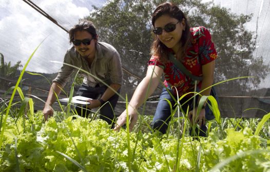 <strong>Prefeitura de Maricá promove curso de controle biológico para agricultores rurais</strong>
