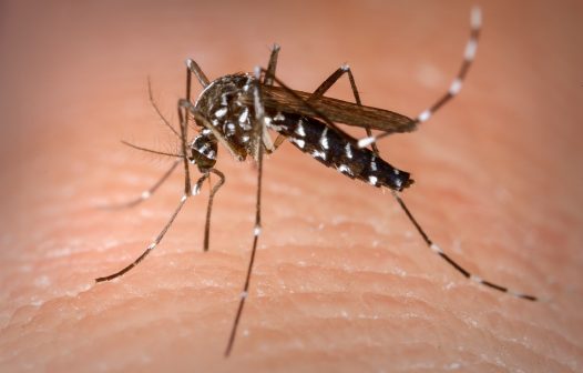 Prefeitura de Resende divulga calendário do mutirão de combate à dengue de fevereiro