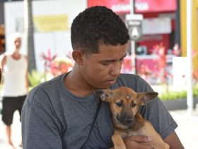 Feira de adoção encontra novo lar para 19 animais em Maricá