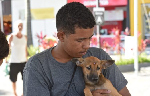 Feira de adoção encontra novo lar para 19 animais em Maricá