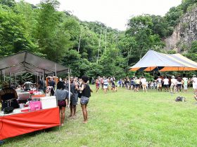 Festival Música na Natureza volta ao Parque Natural Municipal de Nova Iguaçu