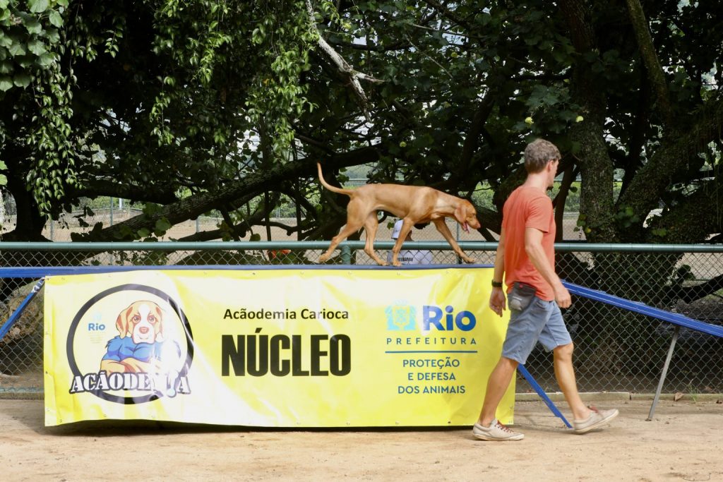 Prefeitura do Rio lança a Acãodemia Carioca, 1º programa de academia para cachorros do país