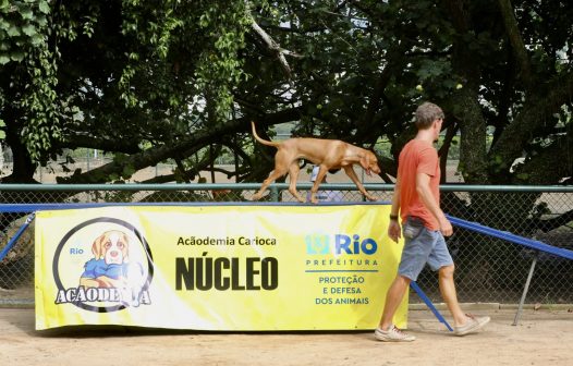 Prefeitura do Rio lança a Acãodemia Carioca, 1º programa de academia para cachorros do país