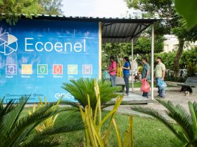 Enel oferta R$ 650 mil em descontos na conta de luz por meio de coleta de materiais recicláveis