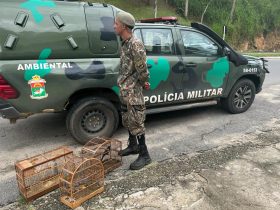 <strong>Policiais resgatam pássaros silvestres de cativeiro em Petrópolis</strong>