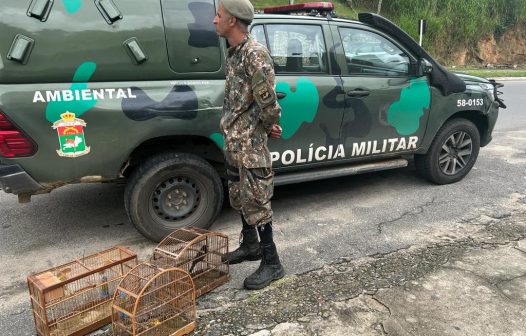 <strong>Policiais resgatam pássaros silvestres de cativeiro em Petrópolis</strong>