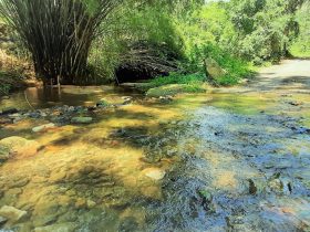 <strong>Prefeitura de Maricá celebra o Dia Mundial do Turismo Ecológico com caminhada ao Rio Ubatiba</strong>