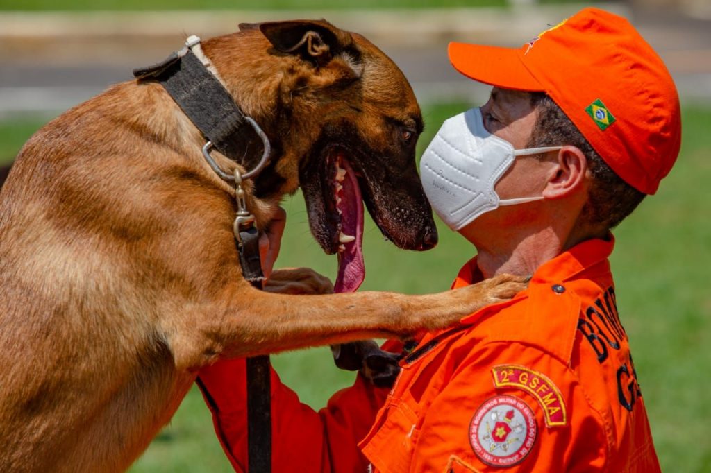 Quartel do Corpo de Bombeiros será construído no 6º Distrito de Magé