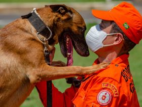 Quartel do Corpo de Bombeiros será construído no 6º Distrito de Magé