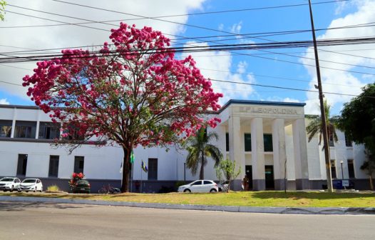 Tempo de Aprender tem apresentação de assistentes em Campos nesta sexta-feira