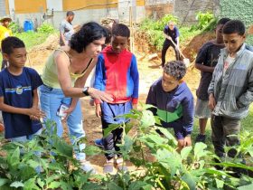 <strong>Prefeitura de Nova Friburgo incentiva a criação de horta sustentáveis nas escolas municipais</strong>