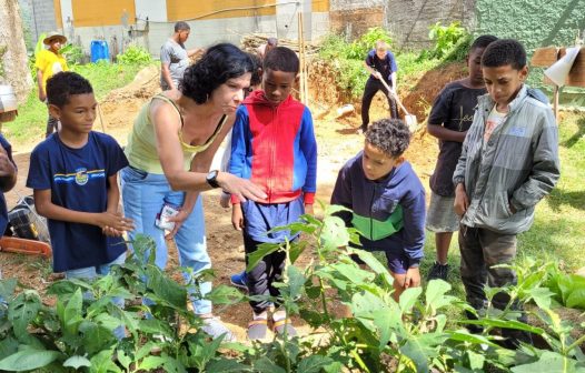 <strong>Prefeitura de Nova Friburgo incentiva a criação de horta sustentáveis nas escolas municipais</strong>