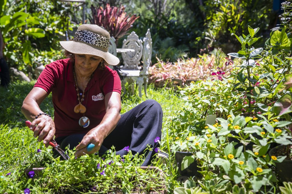 Produtores cadastrados no Programa Florescer terão cerca de R$ 2 milhões em crédito do estado