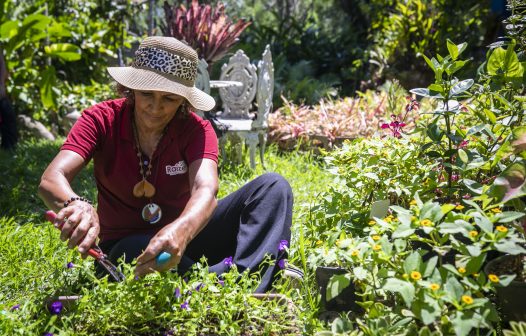 Produtores cadastrados no Programa Florescer terão cerca de R$ 2 milhões em crédito do estado