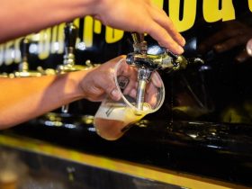 Festival Cervejas do Nilo, em Teresópolis, é adiado e será de 28 de abril a 1º de maio