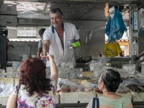 Faturamento do setor pesqueiro do estado do Rio dobrou em um ano