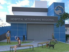 Prefeitura de Volta Redonda conclui licitação para construção do Hospital Veterinário