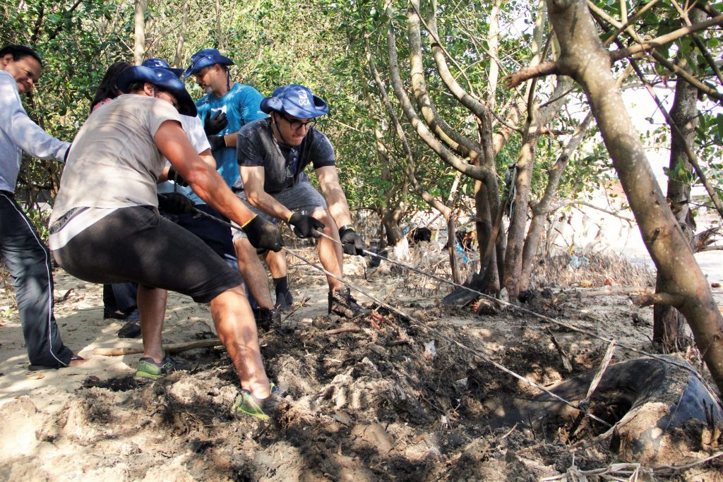 Mangue da Praia das Pedrinhas terá mutirão de limpeza