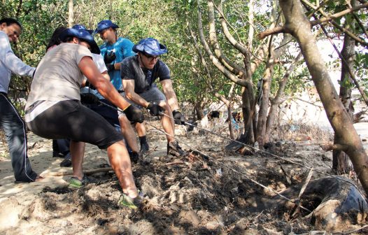 Mangue da Praia das Pedrinhas terá mutirão de limpeza