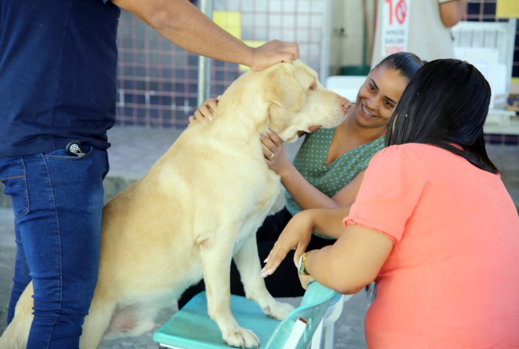 Campanha de vacinação contra raiva imuniza 1,5 mil pets em Magé