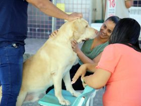 Campanha de vacinação contra raiva imuniza 1,5 mil pets em Magé