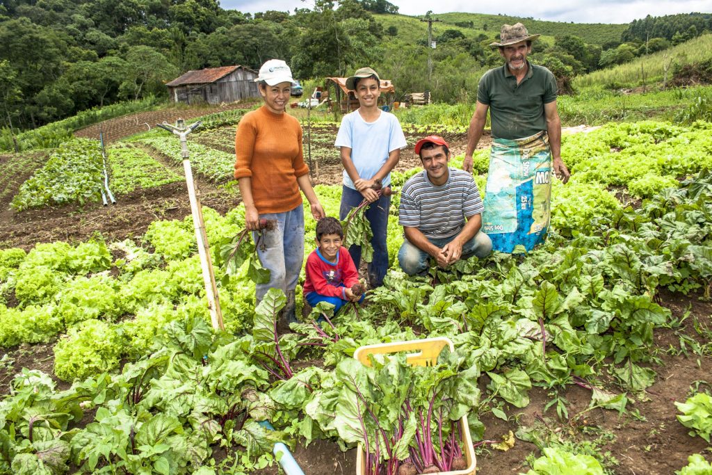 CRC-RJ e Sebrae Rio promovem encontro sobre Cadastro Nacional da Agricultura Familiar