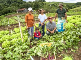 CRC-RJ e Sebrae Rio promovem encontro sobre Cadastro Nacional da Agricultura Familiar