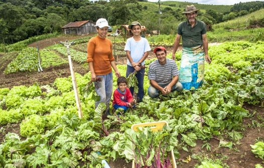 CRC-RJ e Sebrae Rio promovem encontro sobre Cadastro Nacional da Agricultura Familiar