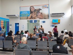 Hospital Municipal Veterinário de Caxias atende 60 mil animais