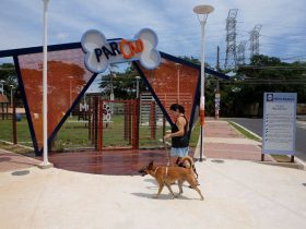 Nova Iguaçu abre primeiro parque voltado para cães