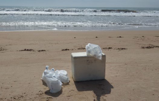 Búzios monitora água em Tucuns e na Tartaruga